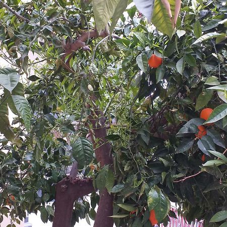 Appartamento B&B Domus Pompei スカファーティ エクステリア 写真